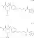 Fig. 40 - Aromatic sulfone hydroxamic acids and their use as protease inhibitors