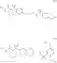 Fig. 61 - Aromatic sulfone hydroxamic acids and their use as protease inhibitors