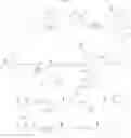 Fig. 19 - Amino acids with affinity for the α2δ-protein