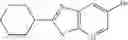Fig. 48 - Bicyclic derivative, its production and use