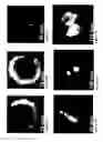 Fig. 09 - Coumarin compounds as microtubule stabilizing agents and therapeutic uses thereof