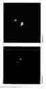 Fig. 10 - Coumarin compounds as microtubule stabilizing agents and therapeutic uses thereof
