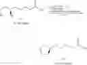 Fig. 10 - Process for the preparation of lipoic acid and dihydrolipoic acid