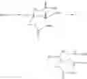 Fig. 09 - T-butyl cascade polymers