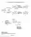 Fig. 13 - Photocleavable protecting groups