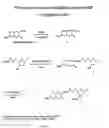 Fig. 17 - Photocleavable protecting groups