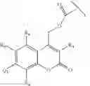 Fig. 30 - Photocleavable protecting groups