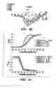 Fig. 14 - Bacterial ion channel
