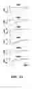 Fig. 15 - Bacterial ion channel