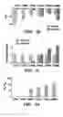 Fig. 16 - Bacterial ion channel