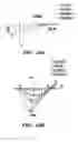 Fig. 19 - Bacterial ion channel