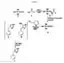 Fig. 02 - Process for the synthesis of imidazoles