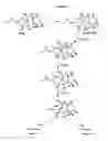 Fig. 02 - Semi-synthesis of taxane intermediates from 9-dihydro-13-acetylbaccatin III
