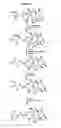 Fig. 07 - Semi-synthesis of taxane intermediates from 9-dihydro-13-acetylbaccatin III