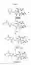 Fig. 09 - Semi-synthesis of taxane intermediates from 9-dihydro-13-acetylbaccatin III
