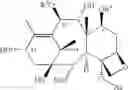 Fig. 158 - Semi-synthesis of taxane intermediates from 9-dihydro-13-acetylbaccatin III