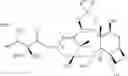 Fig. 45 - Semi-synthesis of taxane intermediates from 9-dihydro-13-acetylbaccatin III