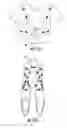 Fig. 12 - Magnetic therapy clothing articles and complex magnetic unit for use therewith