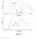Fig. 06 - Using chest velocity to process physiological signals to remove chest compression artifacts