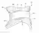 Fig. 01 - Cervical collar having enhanced lateral support