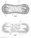 Fig. 05 - System and method for disguising personal care products
