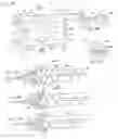 Fig. 08 - Anesthetic dental injection apparatus and methods