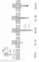 Fig. 27 - Method and apparatus for forming apertures in blood vessels