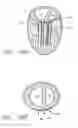 Fig. 15 - Method of manufacturing a cardiac harness
