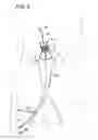 Fig. 06 - Endovascular prosthesis, system and method