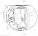 Fig. 01 - Hucklebone supporting-type artificial leg 