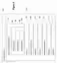 Fig. 09 - Information storage using tables and scope indices