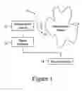 Fig. 02 - Method to characterize material using mathematical propagation models and ultrasonic signal