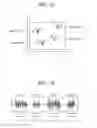 Fig. 08 - Information processing method and apparatus