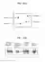 Fig. 48 - Information processing method and apparatus