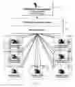 Fig. 52 - Secure network gateway for accessible patient data and transplant donor data