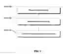 Fig. 02 - Elderly assessment protocol