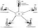 Fig. 01 - United crimes elimination network