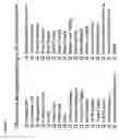 Fig. 08 - United crimes elimination network