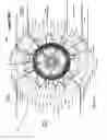 Fig. 06 - Spherical modeling tool