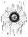 Fig. 22 - Spherical modeling tool