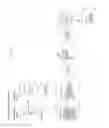 Fig. 09 - Backup and restore mirror database memory items in the historical record backup associated with the client application in a mobile device connected to a communion network