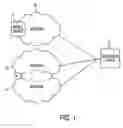 Fig. 02 - Medium hopping across networks