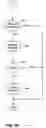 Fig. 05 - Dynamic lookup service in a distributed system