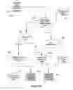 Fig. 22 - Automated task management and evaluation