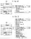 Fig. 04 - Distributing an information image