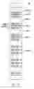 Fig. 07 - Memory management for ternary CAMs and the like