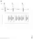 Fig. 07 - Dynamically caching engine instructions