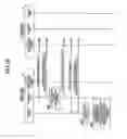 Fig. 17 - Communication apparatus, communication system, certificate transmission method and program