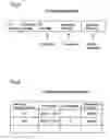 Fig. 06 - Authentication device and computer system