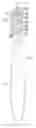Fig. 01 - Toothbrush